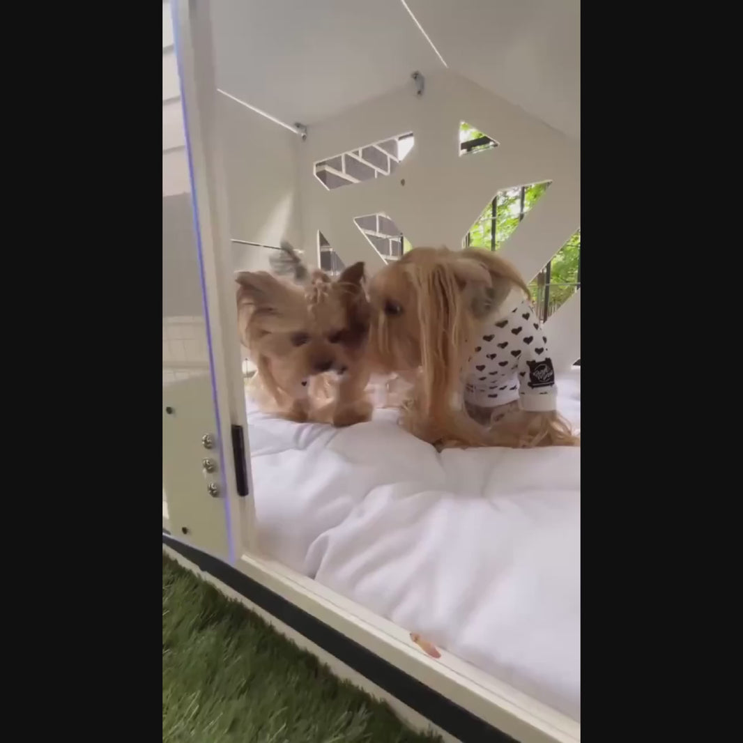 Hundehuette PawLuxe Weiss Designer aus Holz mit Kissen und wasserfestem Boden fuer kleine und grosse Hunde