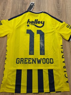 Fenerbahçe Greenwood nassesigniertes Trikot